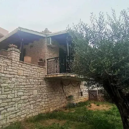Rena Studios *